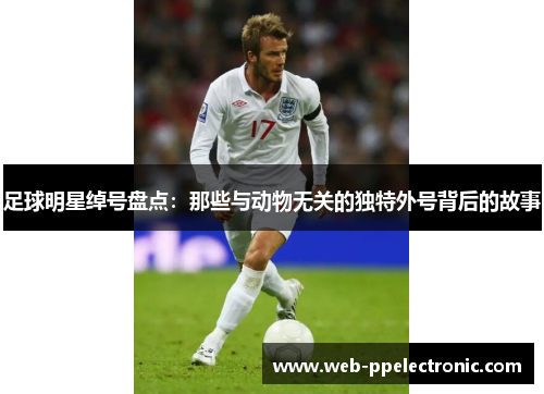 足球明星绰号盘点：那些与动物无关的独特外号背后的故事
